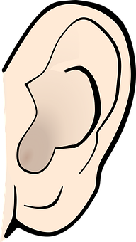 picture of an ear

Description automatically generated
